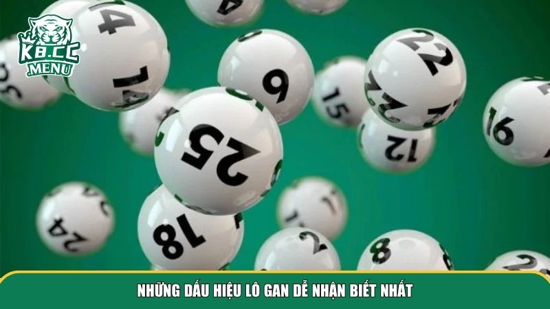 dau hieu lo gan 2 Những dấu hiệu lô gan dễ nhận biết nhất