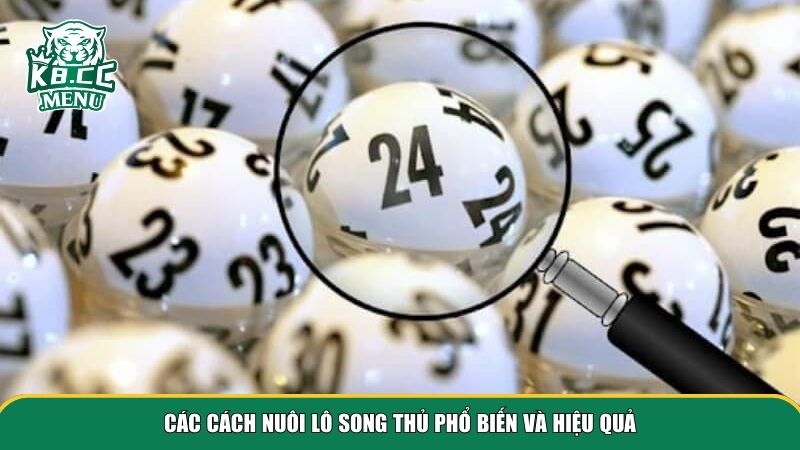 nuoi lo song thu 2 Để nuôi lô song thủ thành công, người chơi cần chọn phương pháp phù hợp